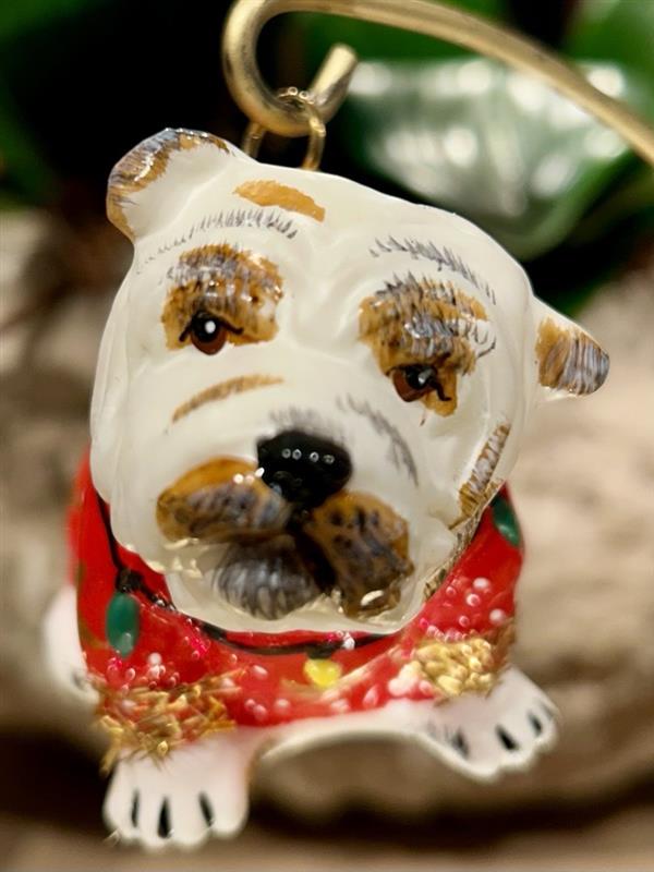 Bulldog holiday ornament with festive jacket.