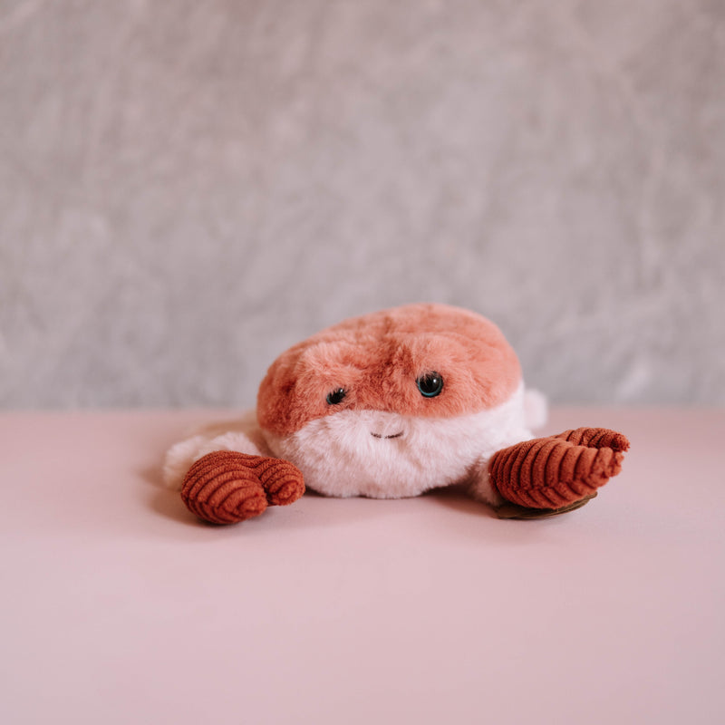 Pink Hermit Crab