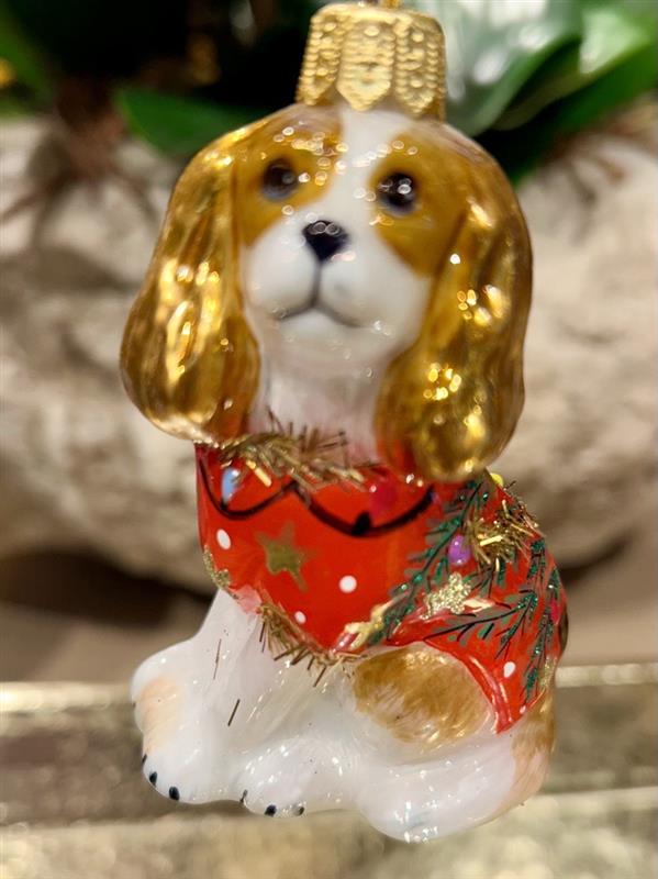 Cavalier King Charles Spaniel